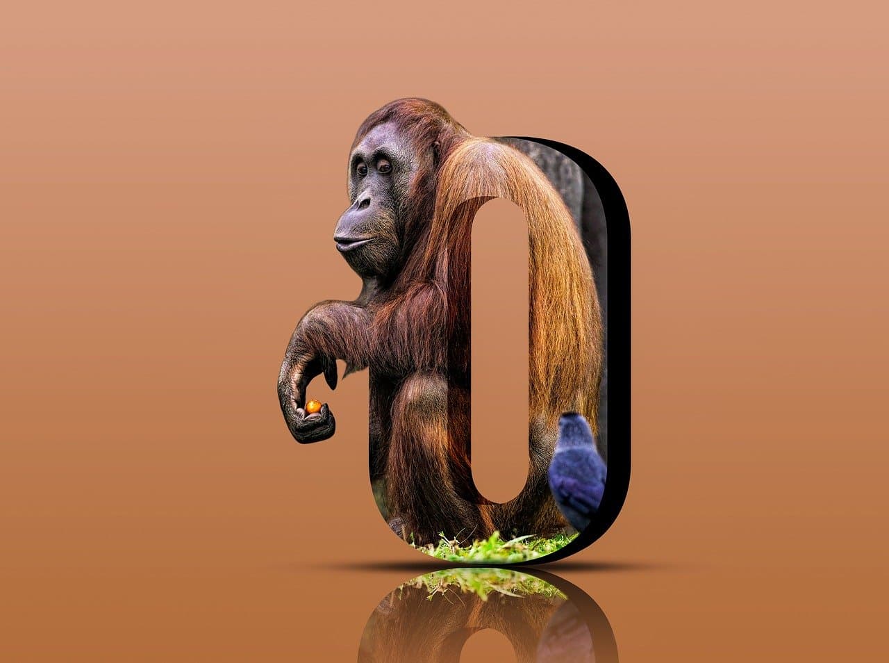 Getting Started with AI-Powered Video Generation